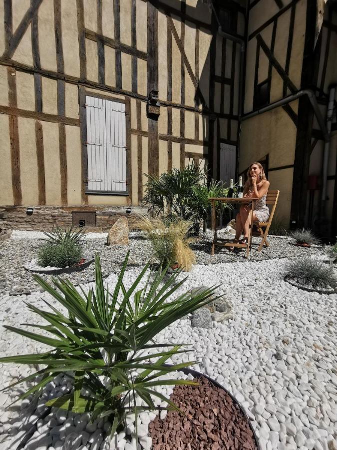 Le Papillon De La Cathedrale - Calme - Jardin - Wifi Leilighet Troyes Eksteriør bilde